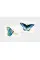Butterfly Wings . A Matching Game