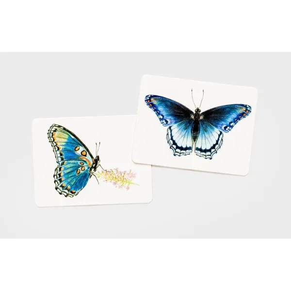Butterfly Wings . A Matching Game