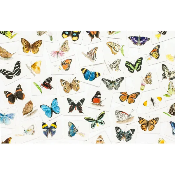 Butterfly Wings . A Matching Game