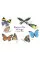 Butterfly Wings . A Matching Game