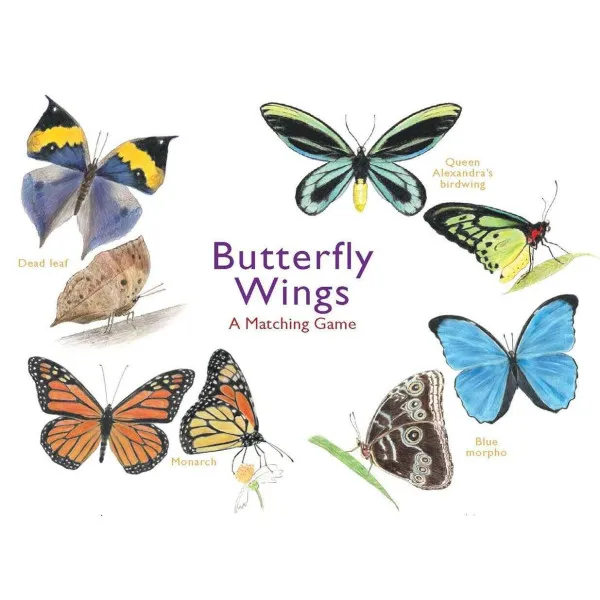 Butterfly Wings . A Matching Game