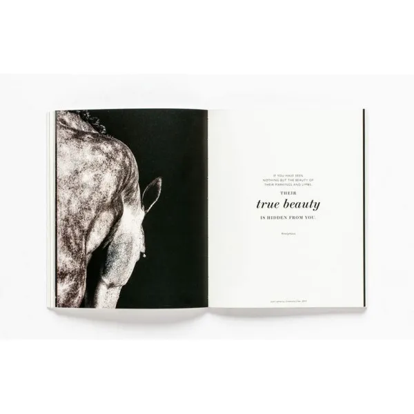 The Book of the Horse : Horses in Art