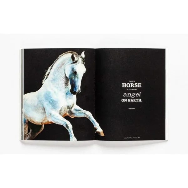 The Book of the Horse : Horses in Art