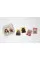 Do You Look Like Your Dog? Match Dogs with Their Humans. A Memory Game