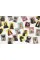 Do You Look Like Your Dog? Match Dogs with Their Humans. A Memory Game