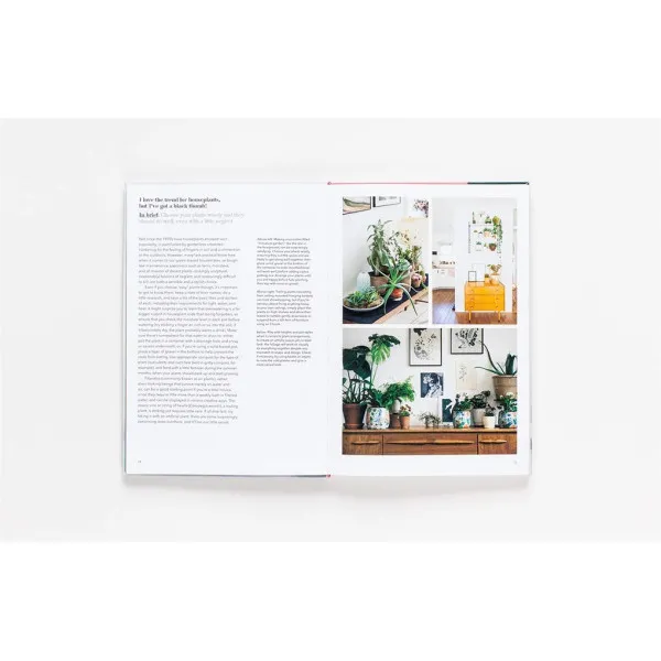 My Bedroom is an Office : & Other Interior Design Dilemmas