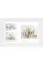Living with Flowers : Blooms & Bouquets for the Home