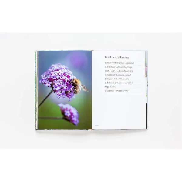 Flower Garden: How to Grow Flowers from Seed