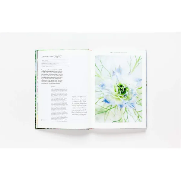 Flower Garden: How to Grow Flowers from Seed