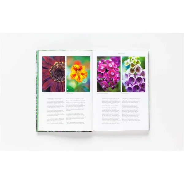 Flower Garden: How to Grow Flowers from Seed