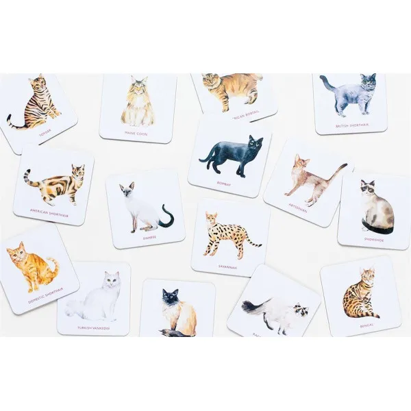 Cat Coasters