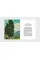 The Book of the Tree : Trees in Art