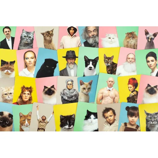 Do You Look Like Your Cat? Match Cats with their Humans. A Memory Game