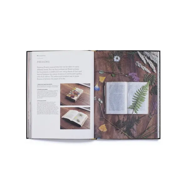 Cut & Dry . The Modern Guide to Dried Flowers from Growing to Styling