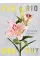 Floriography : The Meaning of Flowers