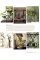 The Natural Home. Creative interiors inspired by the beauty of the natural world