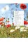 ScandiKitchen. Midsommar. Simply delicious food for summer days