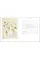 Drawn From Nature: The Flowering of Irish Botanical Art