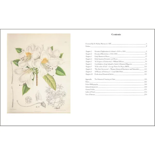Drawn From Nature: The Flowering of Irish Botanical Art