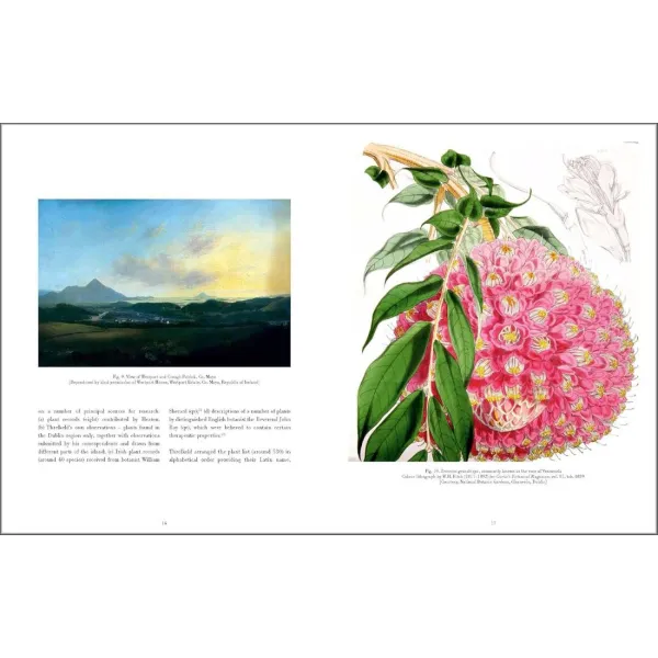 Drawn From Nature: The Flowering of Irish Botanical Art
