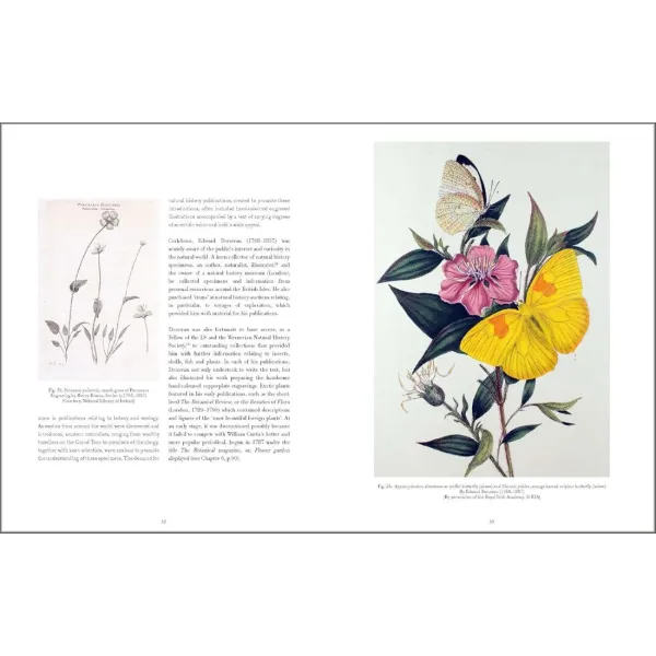 Drawn From Nature: The Flowering of Irish Botanical Art