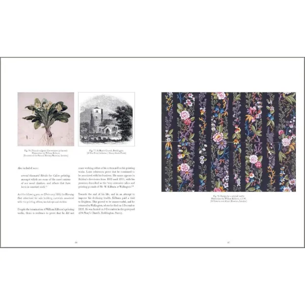 Drawn From Nature: The Flowering of Irish Botanical Art