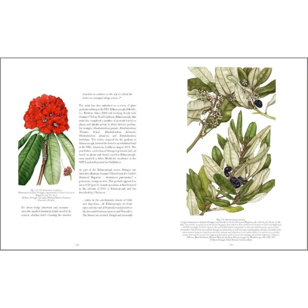 Drawn From Nature: The Flowering of Irish Botanical Art