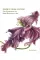 Drawn From Nature: The Flowering of Irish Botanical Art