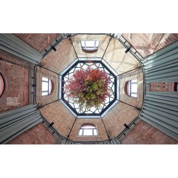 The London Club: Architecture, Interiors, Art