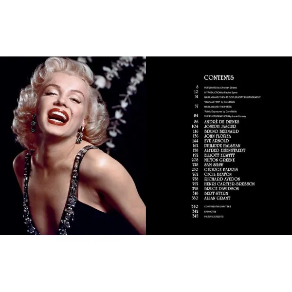 Marilyn Monroe 100