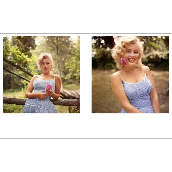 Marilyn Monroe 100