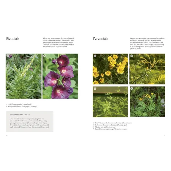From Plant to Pigment
