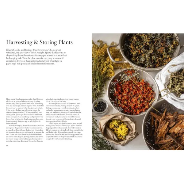 From Plant to Pigment