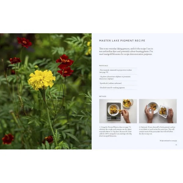 From Plant to Pigment