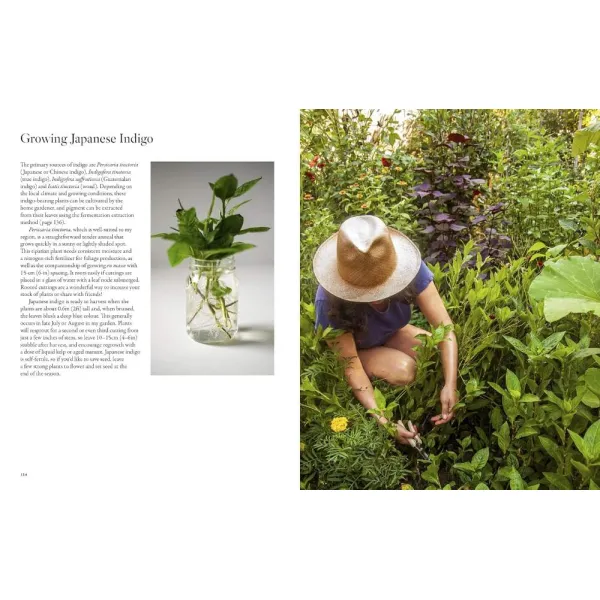 From Plant to Pigment