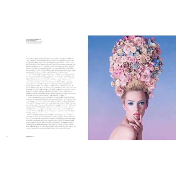Marie Antoinette Style