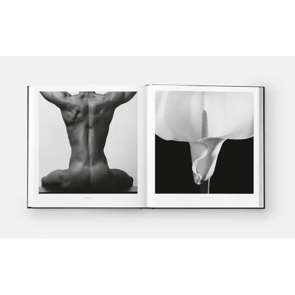 Robert Mapplethorpe