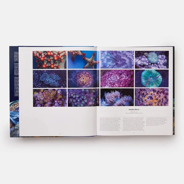 Ocean, Exploring the Marine World 