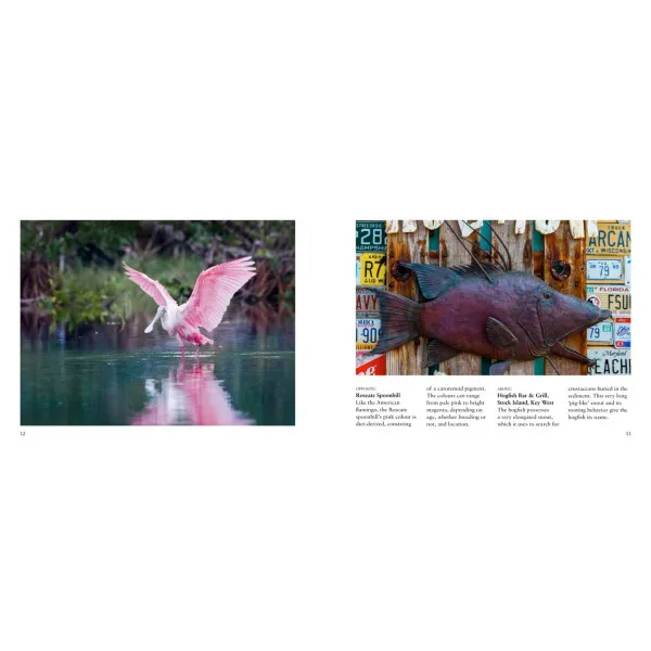 Florida. Visual Explorer Guide