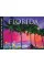 Florida. Visual Explorer Guide