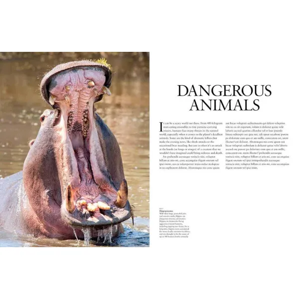 Dangerous Animals