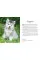 Dogs. Mini Encyclopedia