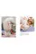Dogs. Mini Encyclopedia