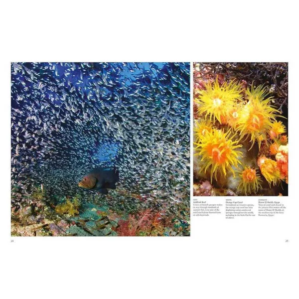 Reefs