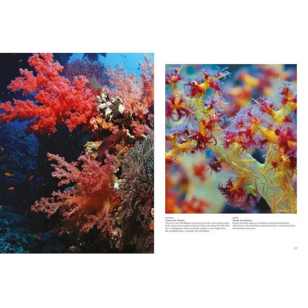 Reefs