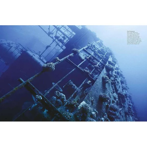 Reefs