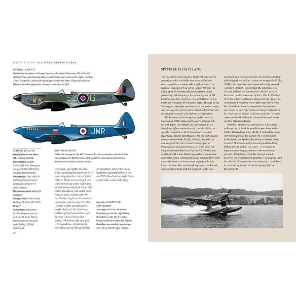 Spitfire