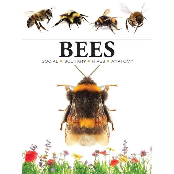Bees