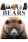 Bears