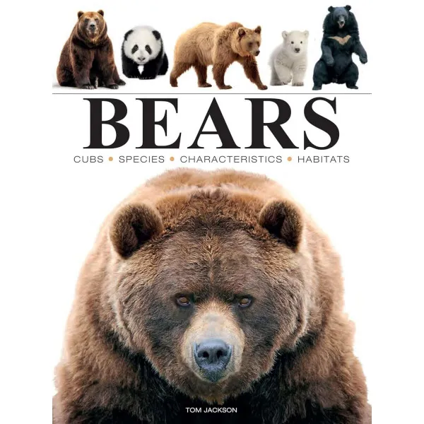 Bears